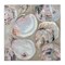 Stupell Industries Summer Seashells in Subtle Pink Canvas By Jeanette Vertentes